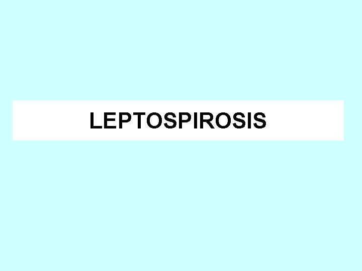 LEPTOSPIROSIS 