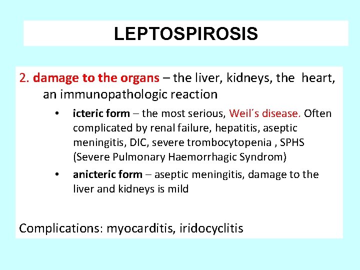 LEPTOSPIROSIS 2. damage to the organs – the liver, kidneys, the heart, an immunopathologic