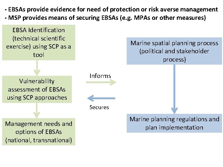 - EBSAs provide evidence for need of protection or risk averse management - MSP