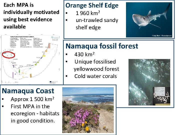 Each MPA is individually motivated using best evidence available Orange Shelf Edge • •