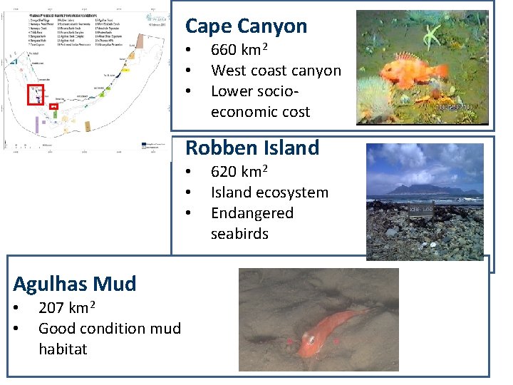 Cape Canyon • • • 660 km 2 West coast canyon Lower socioeconomic cost