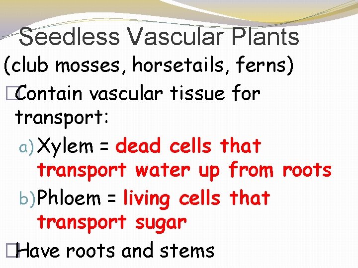 Seedless Vascular Plants (club mosses, horsetails, ferns) �Contain vascular tissue for transport: a) Xylem