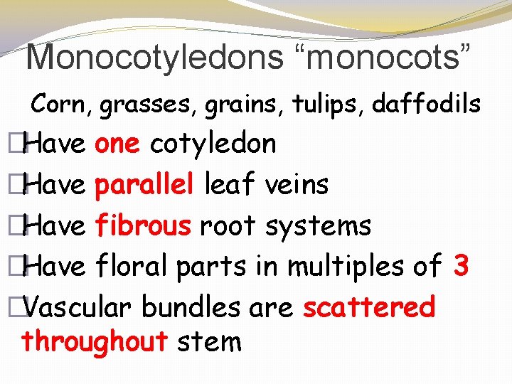 Monocotyledons “monocots” Corn, grasses, grains, tulips, daffodils �Have one cotyledon �Have parallel leaf veins