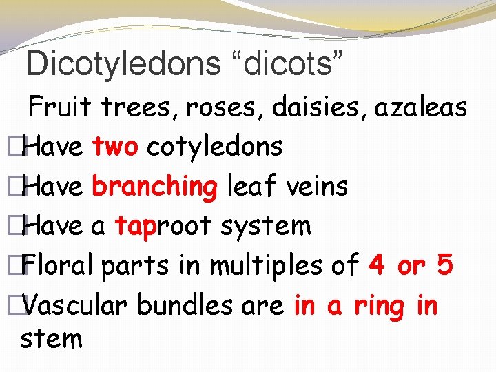 Dicotyledons “dicots” Fruit trees, roses, daisies, azaleas �Have two cotyledons �Have branching leaf veins