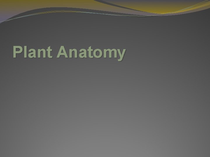 Plant Anatomy 