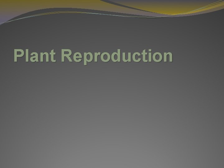 Plant Reproduction 