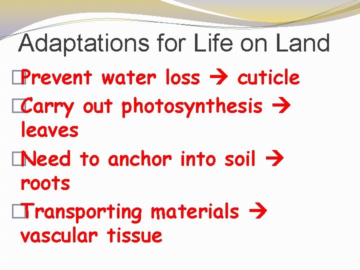 Adaptations for Life on Land �Prevent water loss cuticle �Carry out photosynthesis leaves �Need