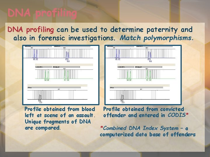 DNA profiling can be used to determine paternity and also in forensic investigations. Match