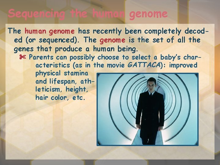 Sequencing the human genome The human genome has recently been completely decoded (or sequenced).