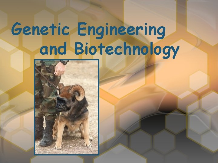 Genetic Engineering and Biotechnology 