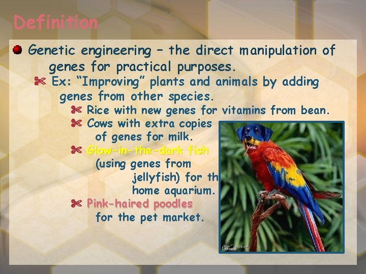 Definition Genetic engineering – the direct manipulation of genes for practical purposes. ✄ Ex: