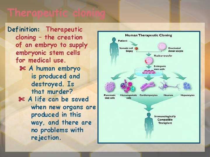 Therapeutic cloning Definition: Therapeutic cloning – the creation of an embryo to supply embryonic