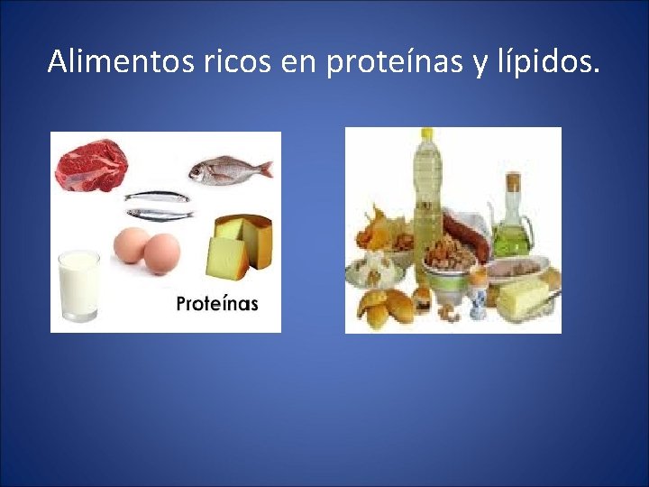 Alimentos ricos en proteínas y lípidos. 