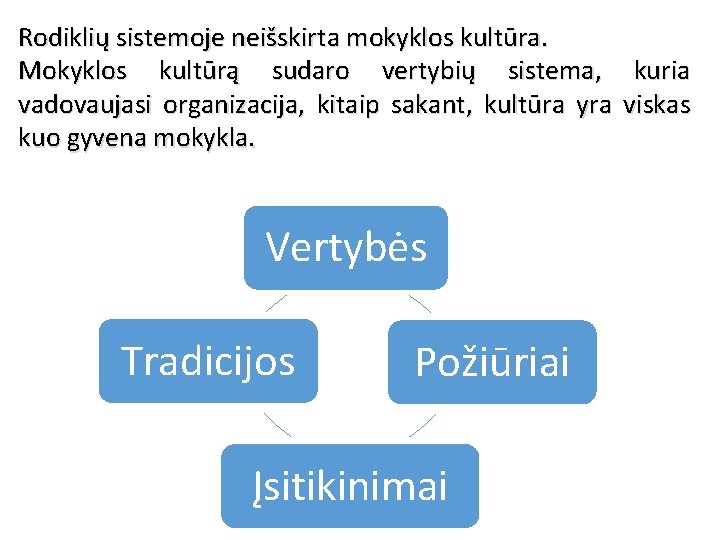 Rodiklių sistemoje neišskirta mokyklos kultūra. Mokyklos kultūrą sudaro vertybių sistema, kuria vadovaujasi organizacija, kitaip