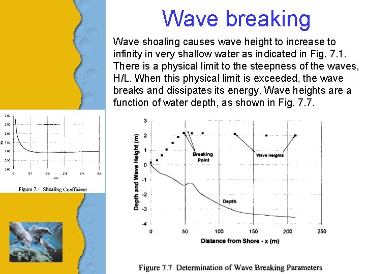 Wave breaking Wave shoaling causes wave height to increase to infinity in very shallow