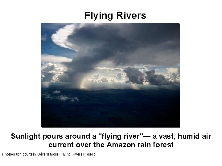 Flying Rivers Sunlight pours around a "flying river"— a vast, humid air current over