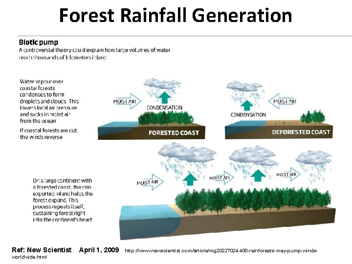 Forest Rainfall Generation Ref: New Scientist worldwide. html April 1, 2009 http: //www. newscientist.