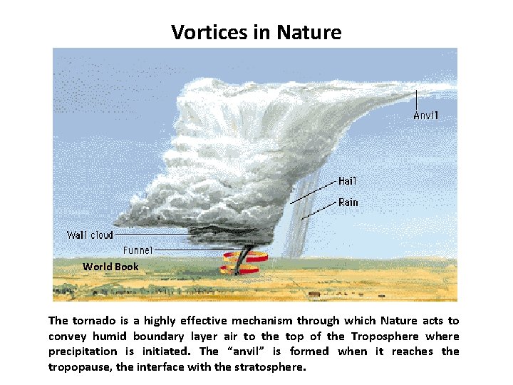 Vortices in Nature World Book The tornado is a highly effective mechanism through which