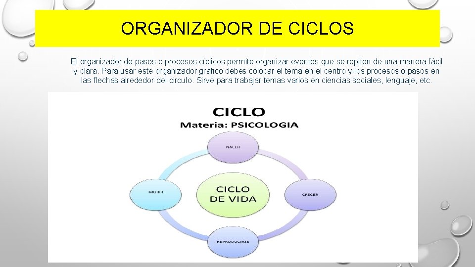 ORGANIZADOR DE CICLOS El organizador de pasos o procesos cíclicos permite organizar eventos que