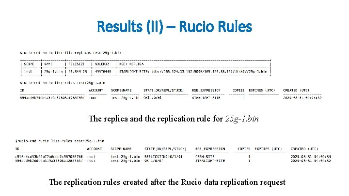 Results (II) – Rucio Rules The replica and the replication rule for 25 g-1.