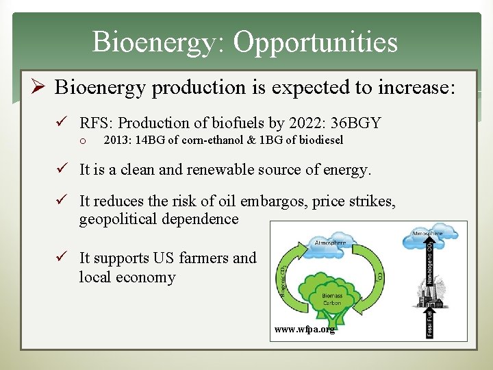 Bioenergy: Opportunities Ø Bioenergy production is expected to increase: ü RFS: Production of biofuels