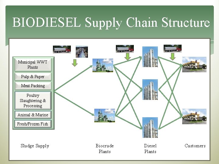 BIODIESEL Supply Chain Structure Municipal WWT Plants Pulp & Paper Meat Packing Poultry Slaughtering