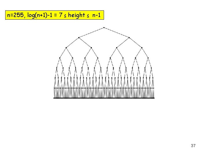 n=255, log(n+1)-1 = 7 ≤ height ≤ n-1 37 