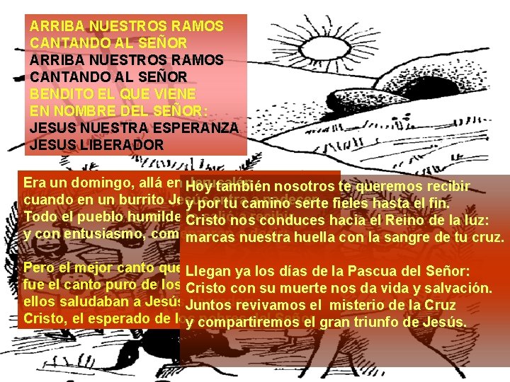 ARRIBA NUESTROS RAMOS CANTANDO AL SEÑOR BENDITO EL QUE VIENE EN NOMBRE DEL SEÑOR:
