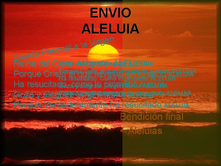 ENVIO ALELUIA : n e g r i a la V l a u