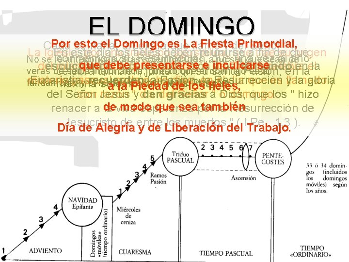 EL DOMINGO Por esto el Domingo Lallamó Fiesta Primordial, Primordial Cada semana, en el