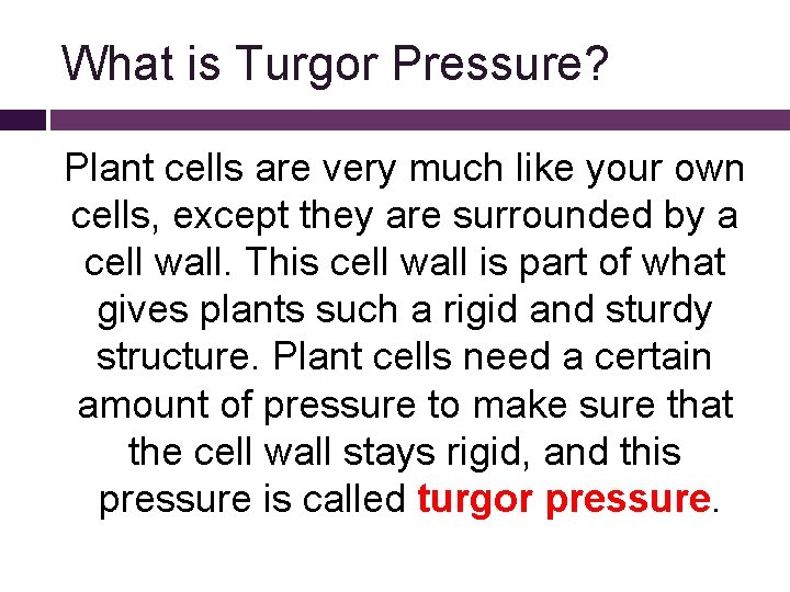 What is Turgor Pressure? Plant cells are very much like your own cells, except