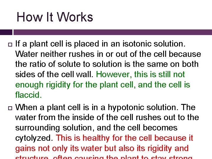 How It Works If a plant cell is placed in an isotonic solution. Water