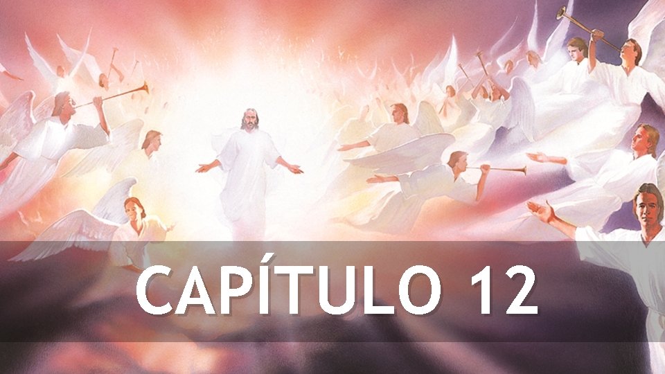 CAPÍTULO 12 