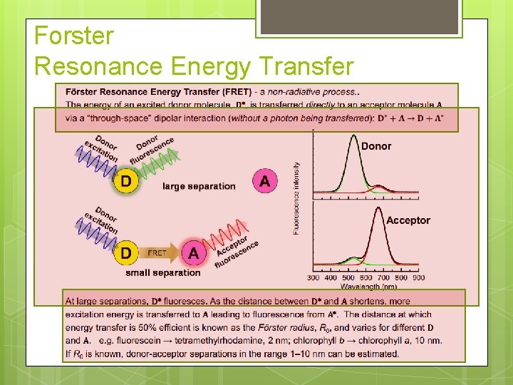 Forster Resonance Energy Transfer 