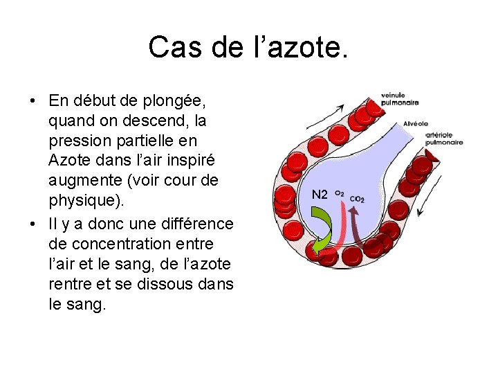 Cas de l’azote. • En début de plongée, quand on descend, la pression partielle