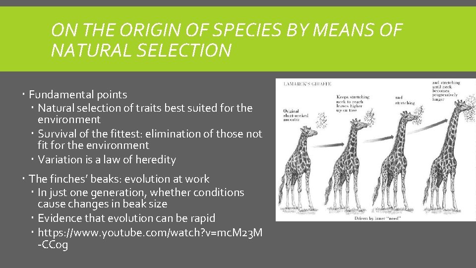 ON THE ORIGIN OF SPECIES BY MEANS OF NATURAL SELECTION Fundamental points Natural selection