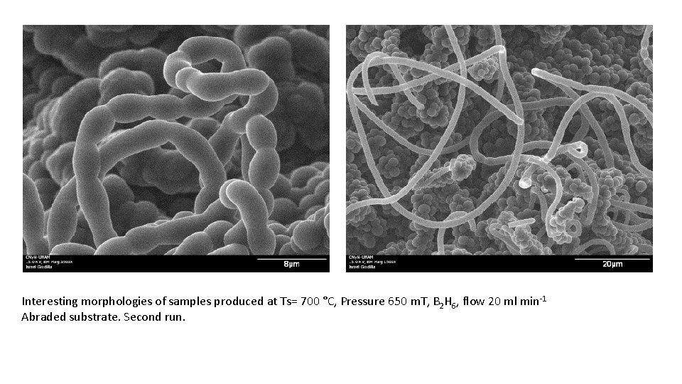 Interesting morphologies of samples produced at Ts= 700 °C, Pressure 650 m. T, B