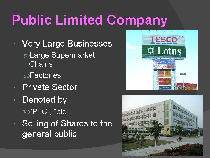 Public Limited Company Very Large Businesses Large Supermarket Chains Factories Private Sector Denoted by