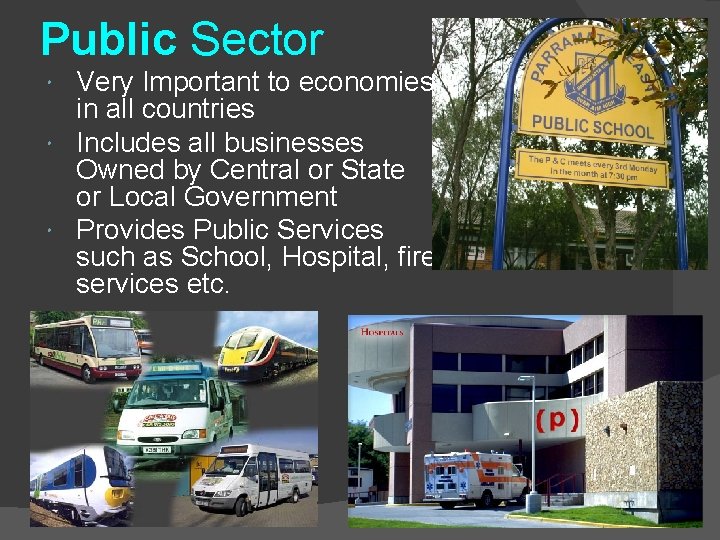 Public Sector Very Important to economies in all countries Includes all businesses Owned by