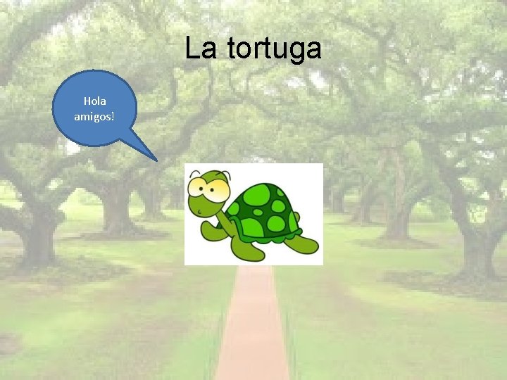La tortuga Hola amigos! 