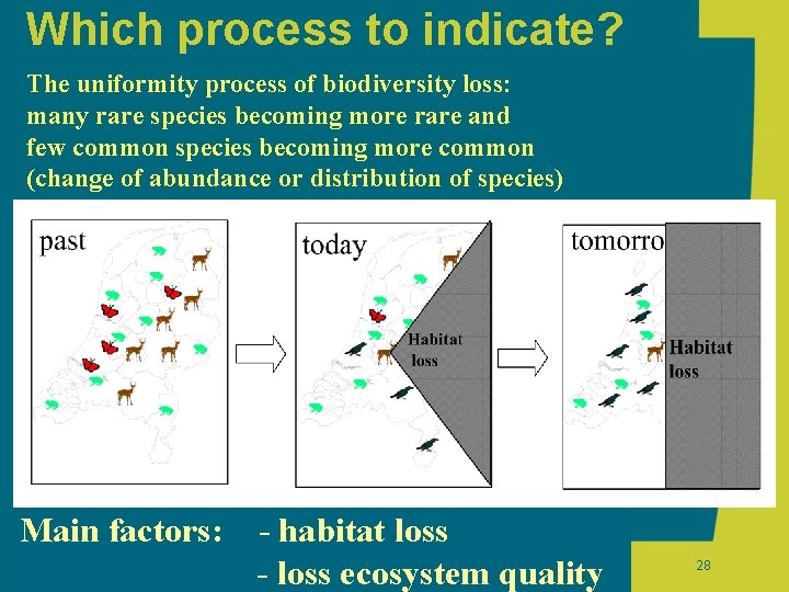 Which process to indicate? The uniformity process of biodiversity loss: many rare species becoming