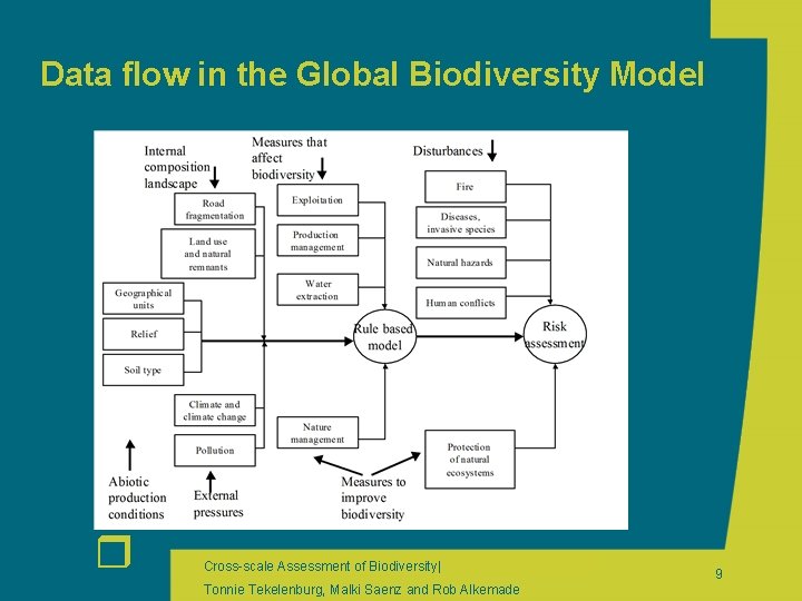 Data flow in the Global Biodiversity Model r Cross-scale Assessment of Biodiversity| Tonnie Tekelenburg,