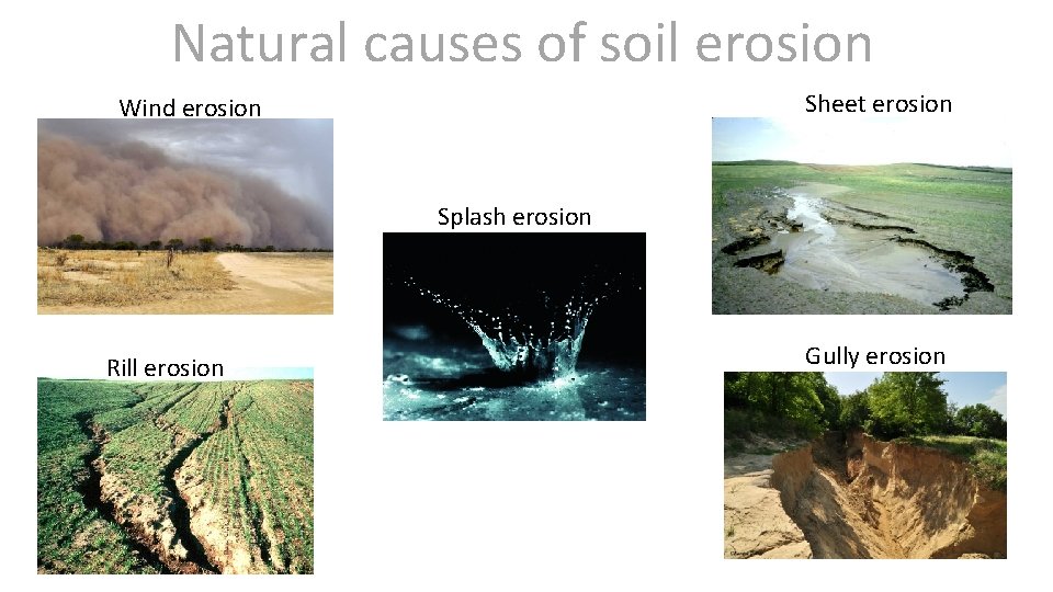 Natural causes of soil erosion Sheet erosion Wind erosion Splash erosion Rill erosion Gully