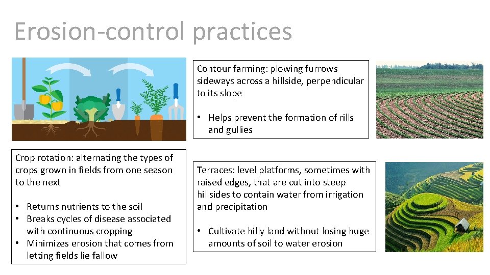 Erosion-control practices Contour farming: plowing furrows sideways across a hillside, perpendicular to its slope