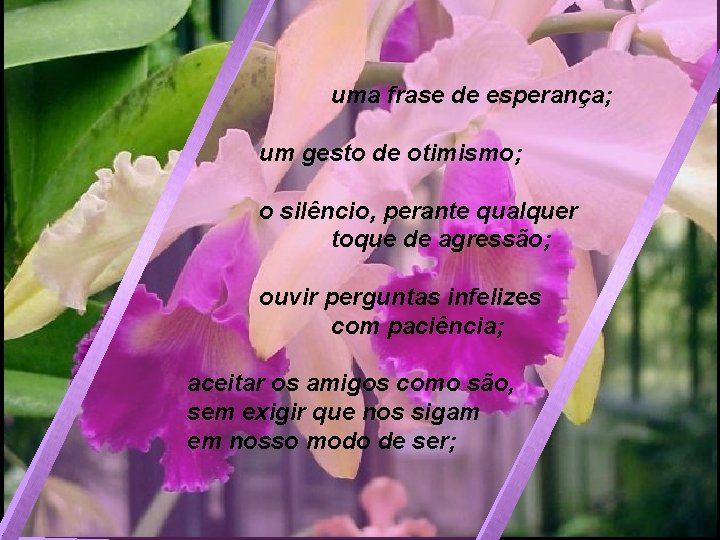 uma frase de esperança; um gesto de otimismo; o silêncio, perante qualquer toque de