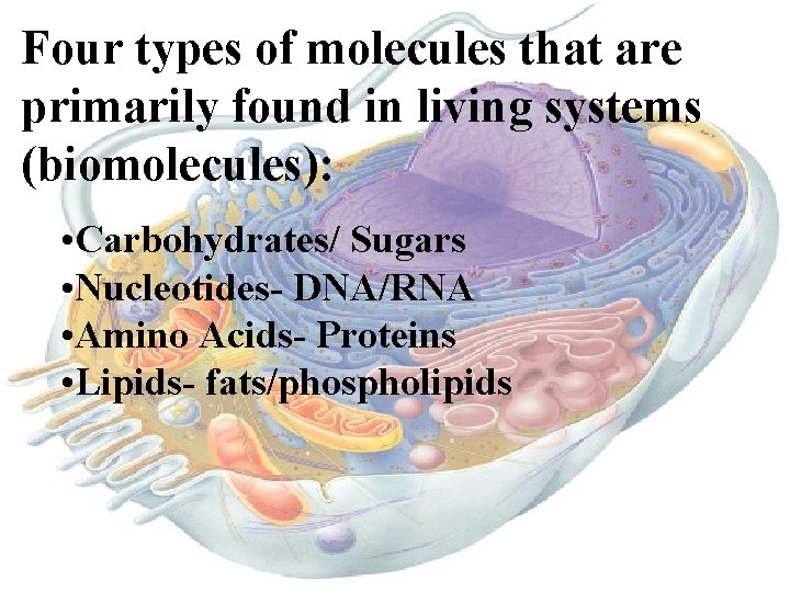 Four types of molecules that are primarily found in living systems (biomolecules): • Carbohydrates/