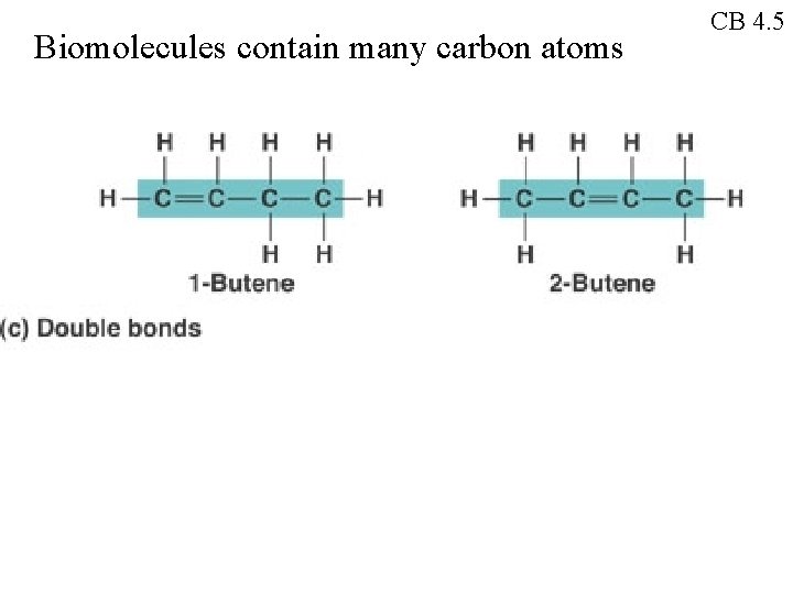 Biomolecules contain many carbon atoms CB 4. 5 