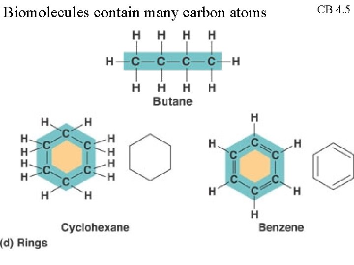 Biomolecules contain many carbon atoms CB 4. 5 