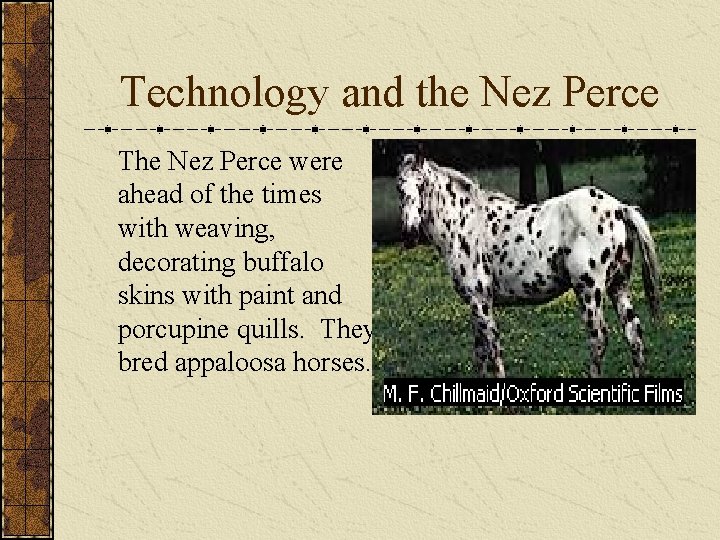 Technology and the Nez Perce The Nez Perce were ahead of the times with
