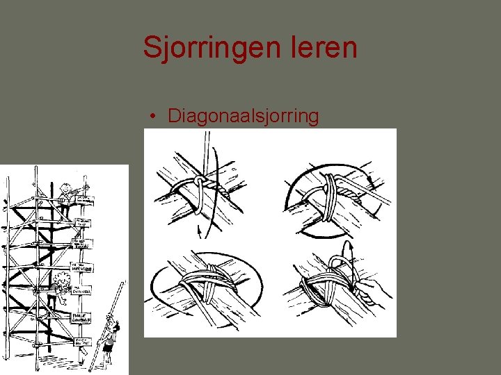 Sjorringen leren • Diagonaalsjorring 